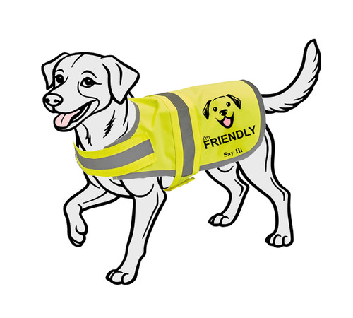 Friendly dog vis - hi,