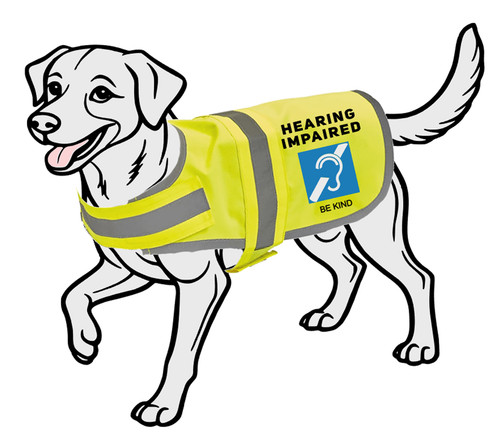 Hearing impaired dog - hearing,