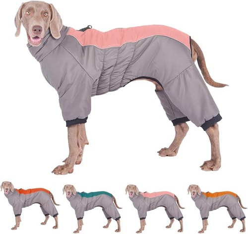 Dog winter coat - winter,