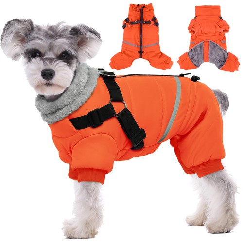 Brkurleg small breed dog - brkurleg,