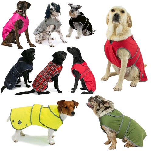 Ancol muddy paws dog - ancol,