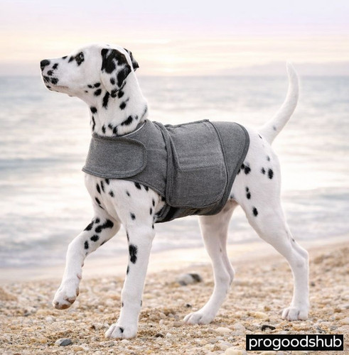 Dog anxiety jacket warm - dog, vest
