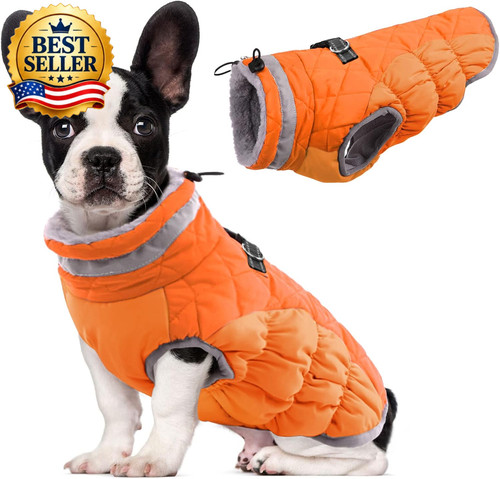 Dog coat warm - warm,