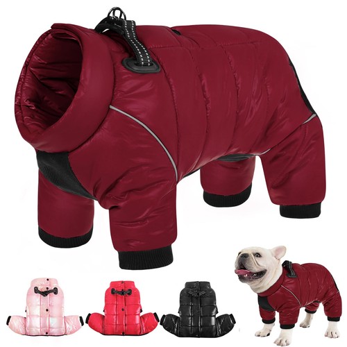 Dog coat waterproof - dog, jacket