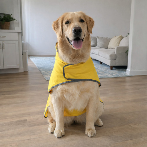 All season dog rain - all-season, jacket
