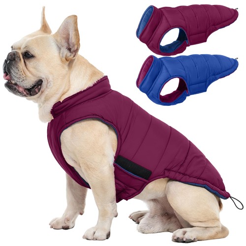 Reversible dog jacket - dog,