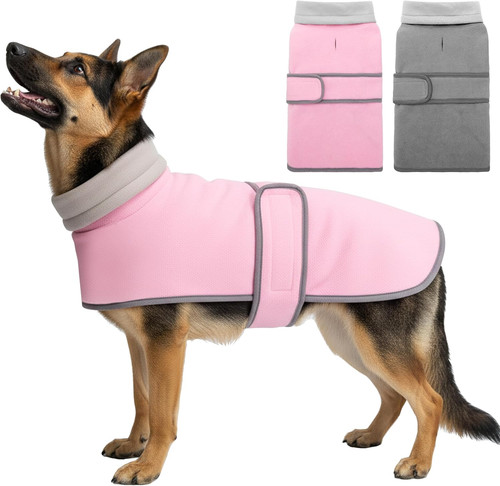 Dog coat pack - dog, pack,