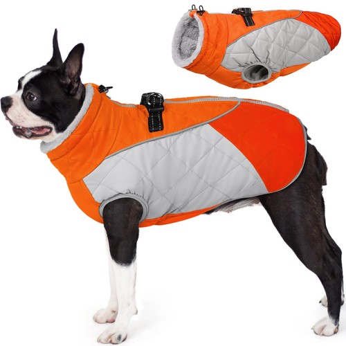 Dog coat - winter,
