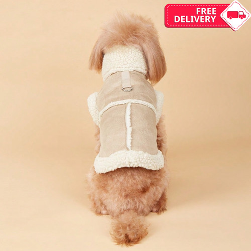 Pet coat small - coat, dog