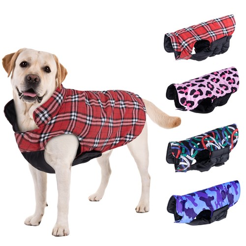 Winter dog coat waterproof - dog,