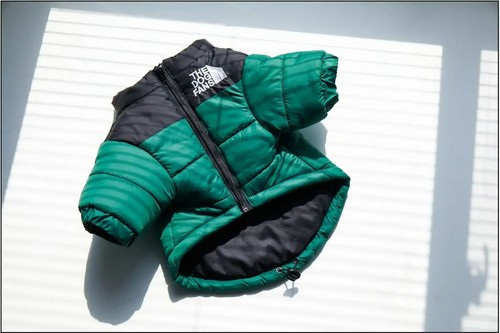 Winter dog jacket for - for, small