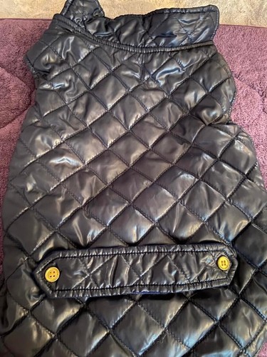 Large blue dog coat gently - blue,