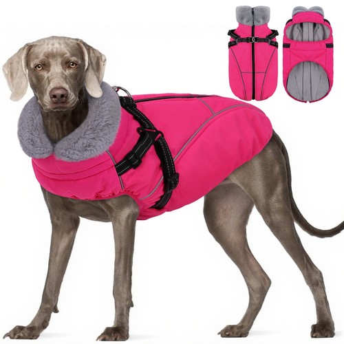 Dog winter coat - dog,