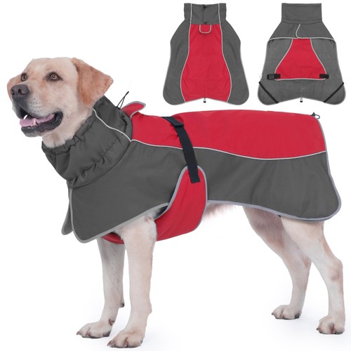 Dog raincoat reflective - dog, raincoat|