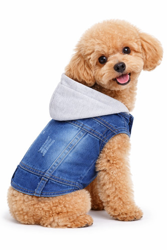 Hoddie jean for - jean,