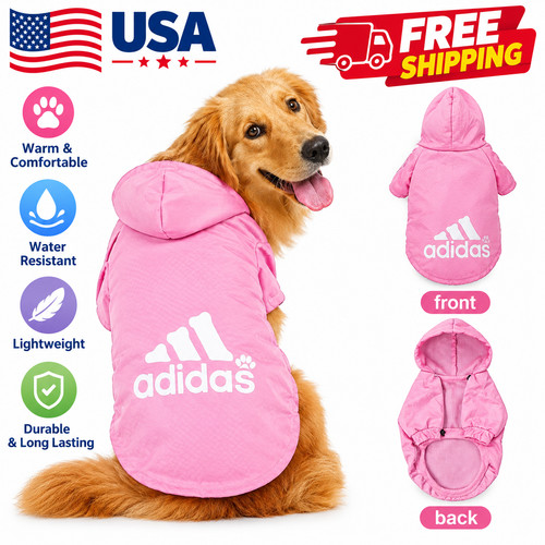 Leg pet dog clothes cat - pet,